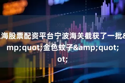 上海股票配资平台宁波海关截获了一批&quot;金色蚊子&quot;